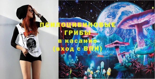 ГАЛЛЮЦИНОГЕННЫЕ ГРИБЫ Волосово
